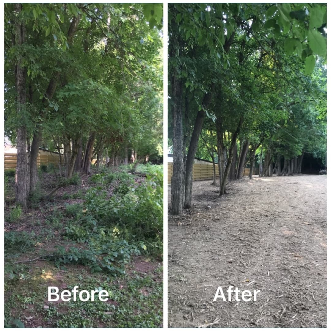 Before and after — overgrown treeline cleared to open, usable ground